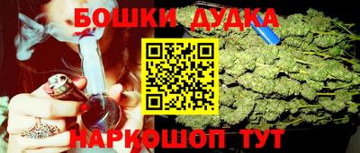 Альфа ПВП Дубна
