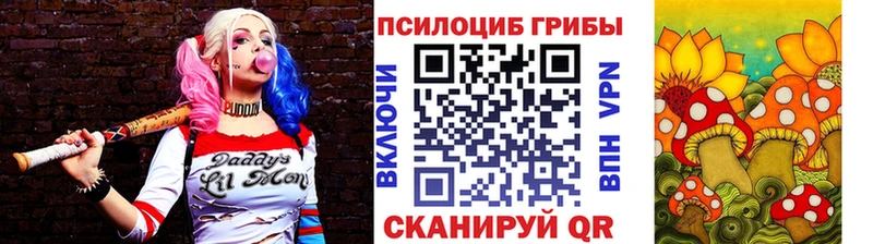 Псилоцибиновые грибы ЛСД  hydra вход  Новокузнецк 