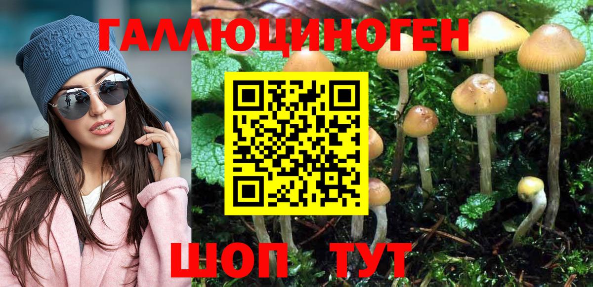 Новокузнецк  Галлюциногенные грибы Cubensis  Псилоцибиновые грибы MAGIC MUSHROOMS  Вход с VPN 